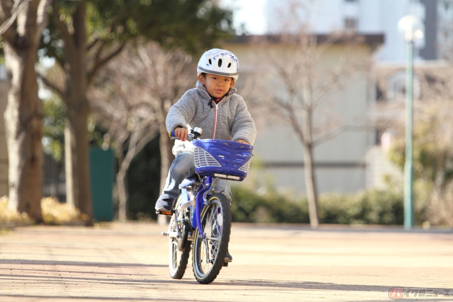 歩行者も自転車もバイクと同じ交通社会の一員 大事な交通教育は日本と 