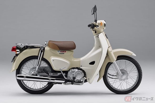 20200417_cub110_007-650x433.