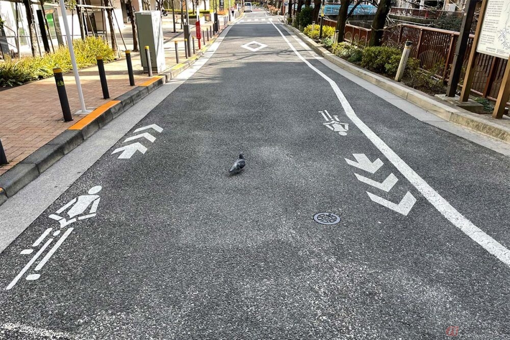 自転車は交通弱者なのか 通行のルールとやってはいけないアレやコレ バイクのニュース 自転車は交通弱者なのか 通行のルールとやってはいけないアレやコレ バイクのニュース