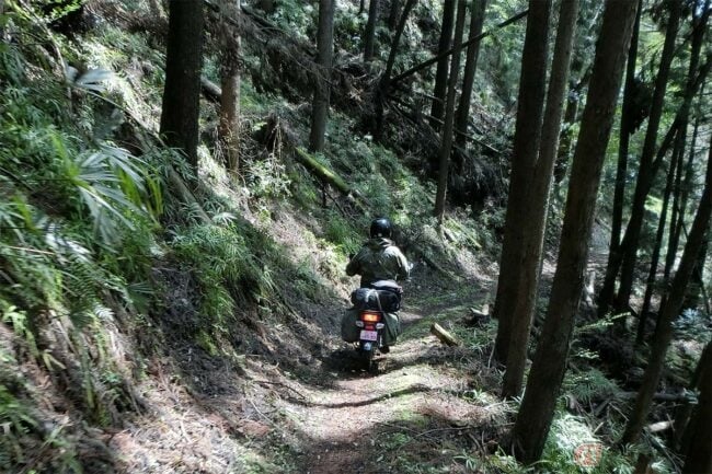 奥多摩の山中に突如現れる現役トロッコ その正体とは ツーリング先で見かけた不思議な光景を解明する バイクのニュース 奥多摩の山中に突如現れる現役トロッコ その正体とは ツーリング先で見かけた不思議な光景を解明する バイクのニュース