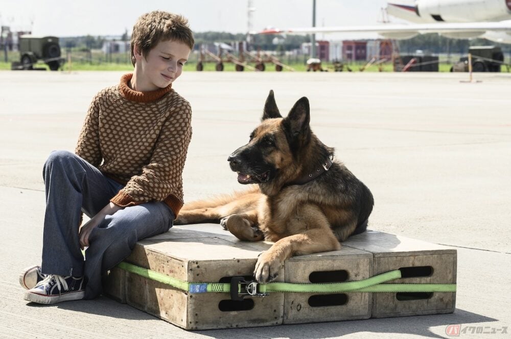 忠犬と少年の心温まる交流 日露共同製作映画 ハチとパルマの物語 バイクのニュース 忠犬と少年の心温まる交流 日露共同製作映画 ハチとパルマの物語 バイクのニュース
