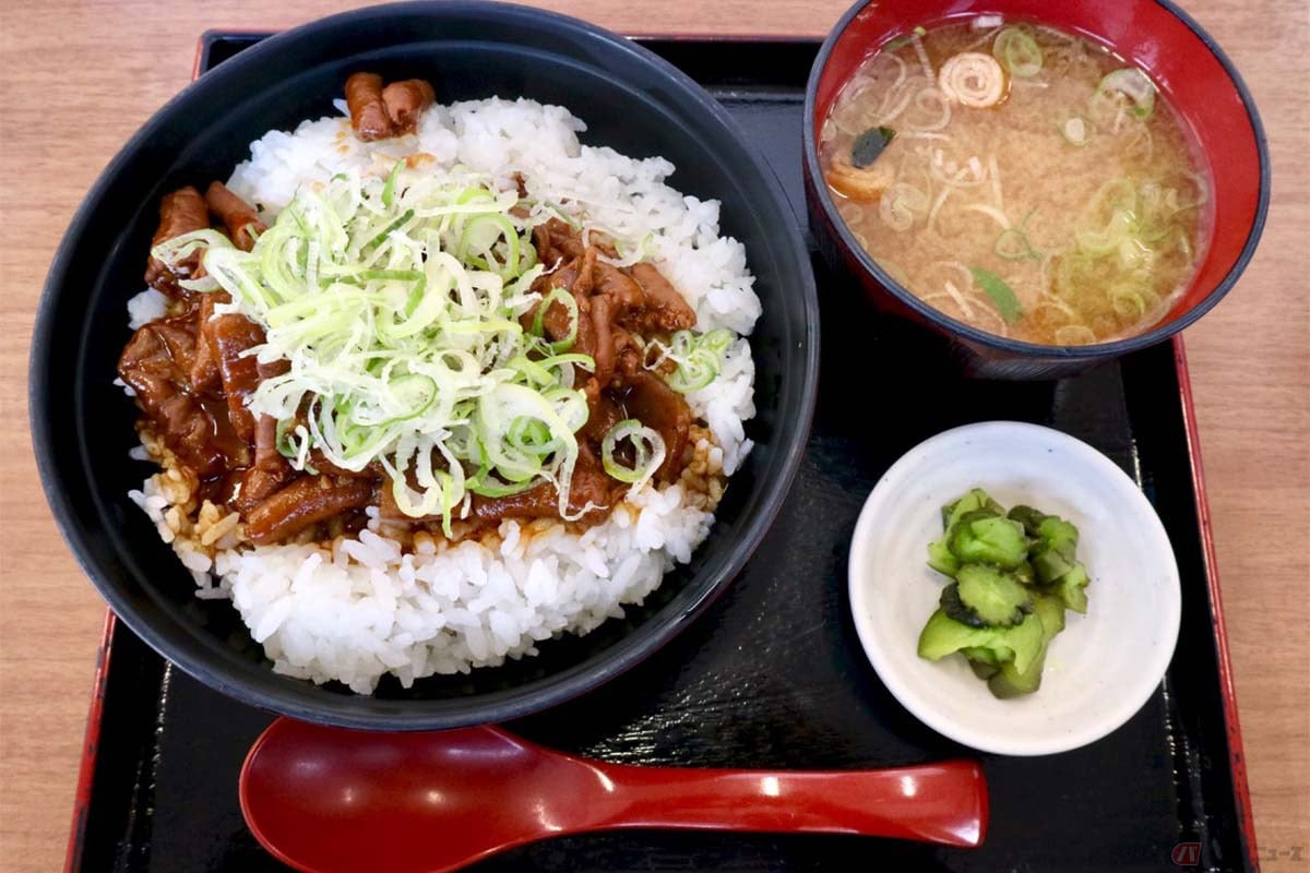 東名高速「豊田上郷SA」(下り)でオーダーした「名古屋どてめし」(870円)。京都の白味噌文化とは対照的な名古屋の赤味噌(八丁味噌)を使ったモツ煮込みを堪能
