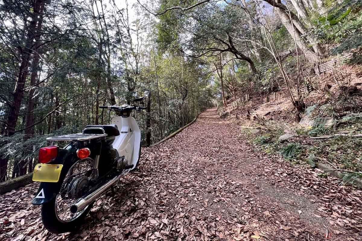 バイクを安全な場所に停めて、「河村城」へプチトレッキング