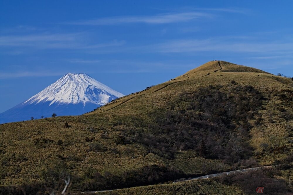 西伊豆スカイラインと見える富士山
