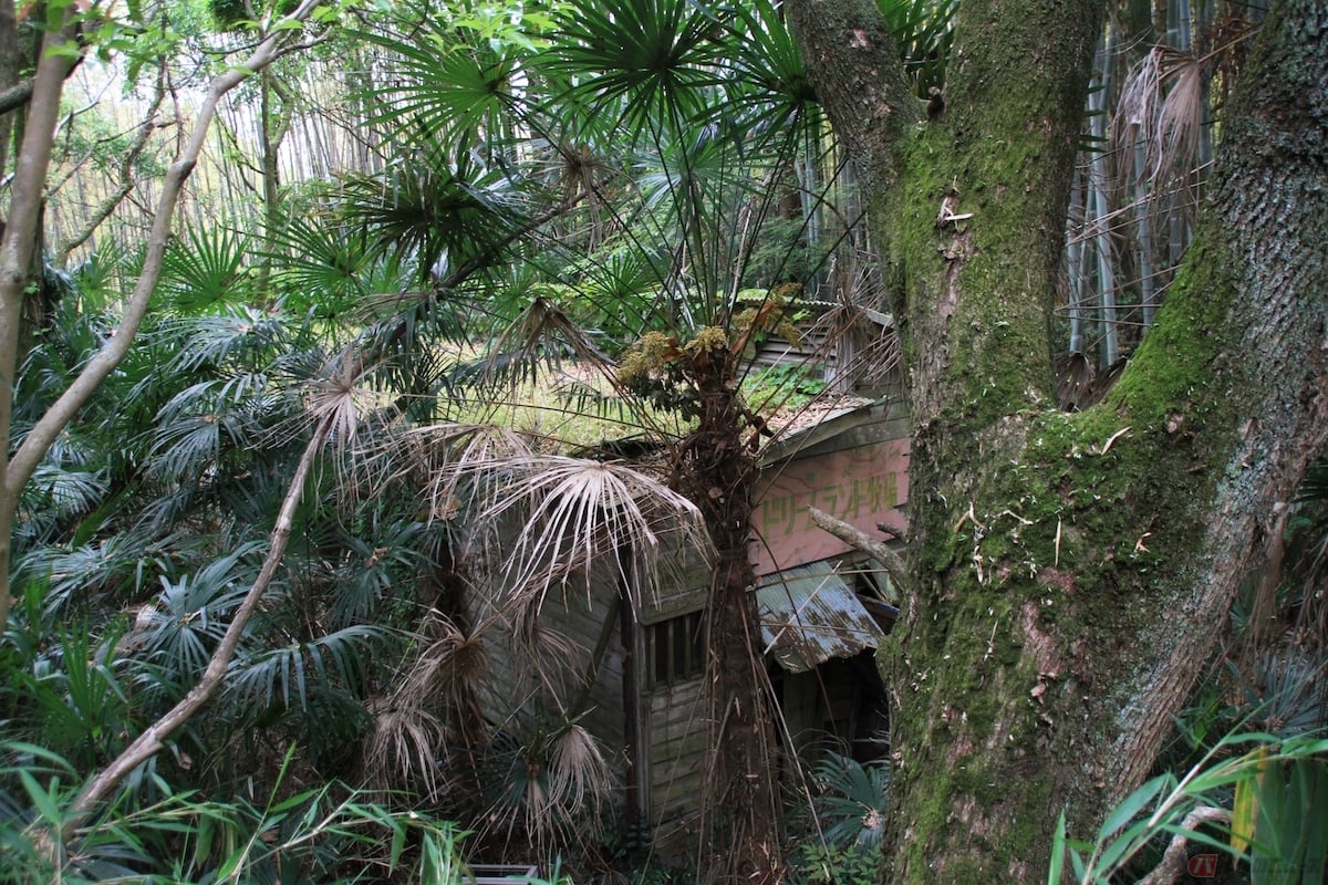 昔あったあのテーマパーク 今はどうなっているの バイクのニュース 昔あったあのテーマパーク 今はどうなっているの バイクのニュース