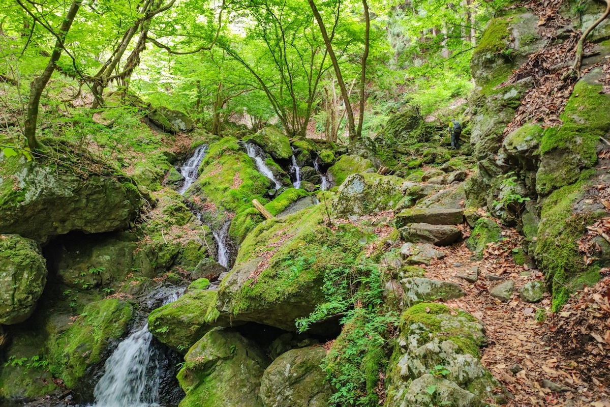 大岳沢から大岳鍾乳洞に向かう道