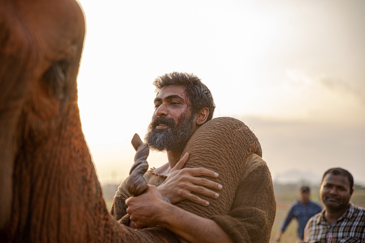 アクション・アドベンチャー超大作『ハーティー 森の神』
