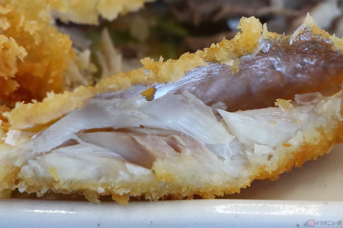 大きめで厚みのあるアジフライ。サクサクフワフワかと思いきや、身は歯応えがあって味も濃い