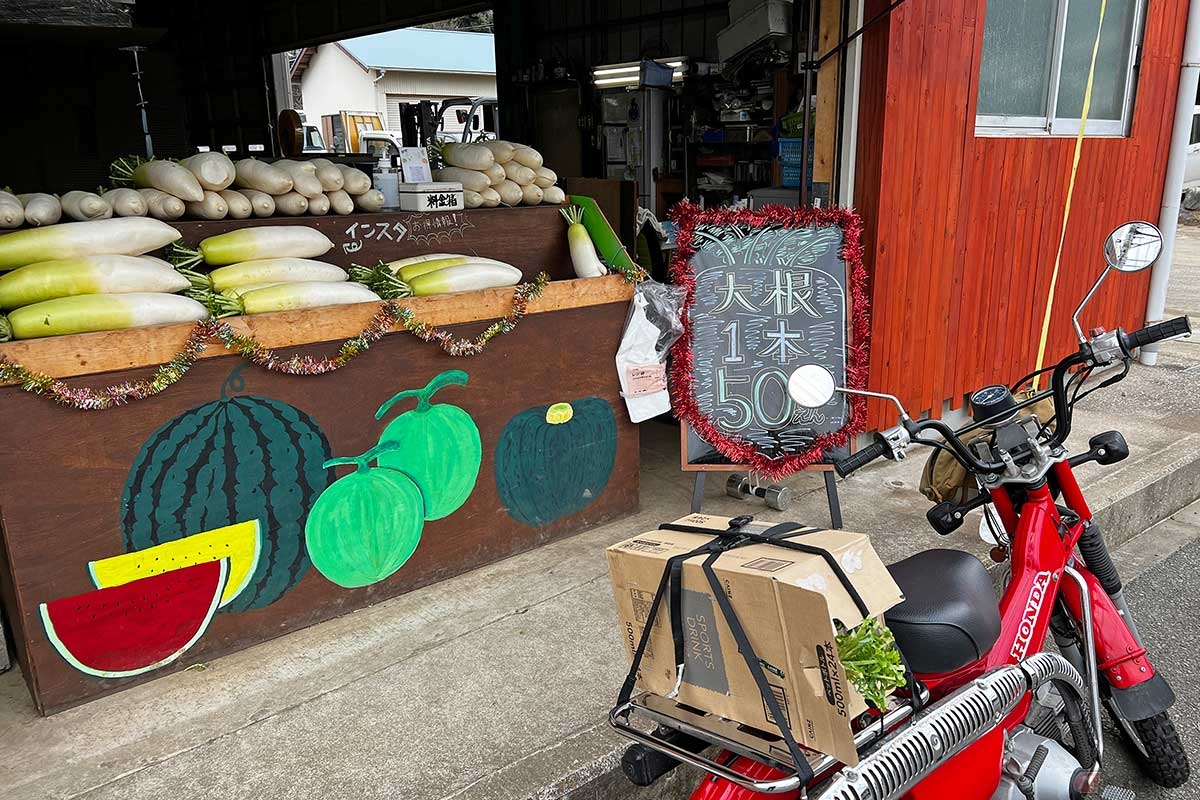 帰り道で見つけた「大根1本50えん」の文字。大井農園の直売所では市場に卸せない規格外の旬の野菜などを格安で購入できる