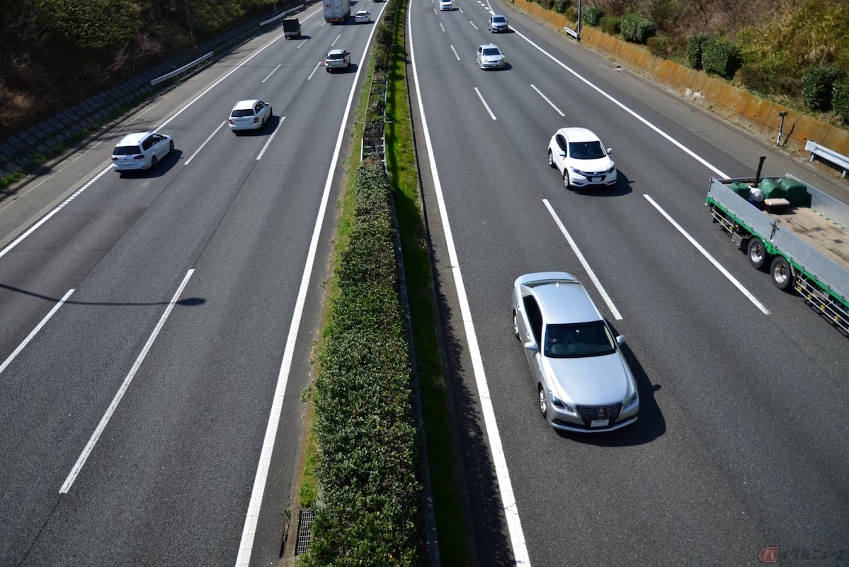 道路脇や高速道路の中央分離帯には植物が植えられている場合がある
