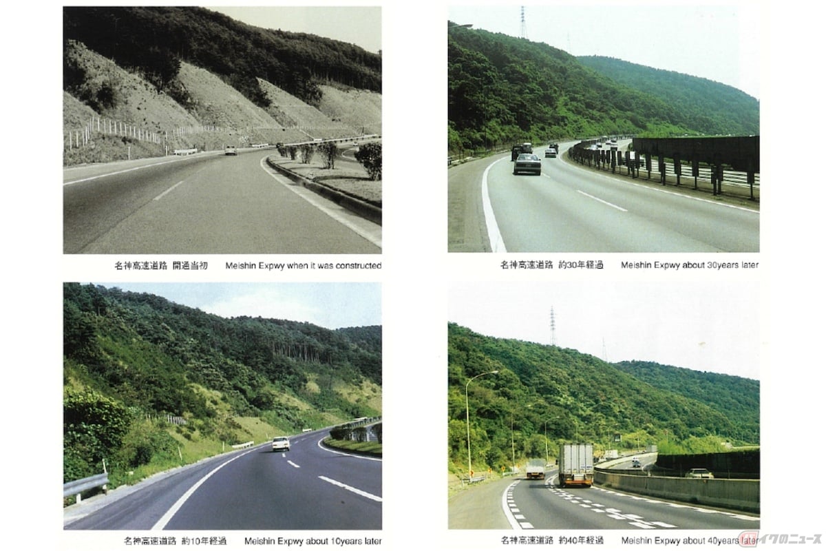 高速道路中央分離帯の植物の推移