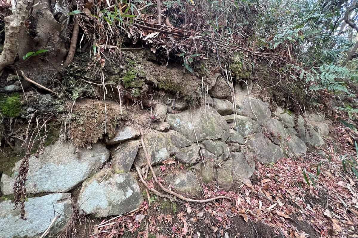 本丸の裏手の小道を歩くと石垣を発見。大東市の発掘調査によって大規模な石垣が見つかり、織田信長に先んじて作られた本格的な山城の石垣である可能性があるようだ