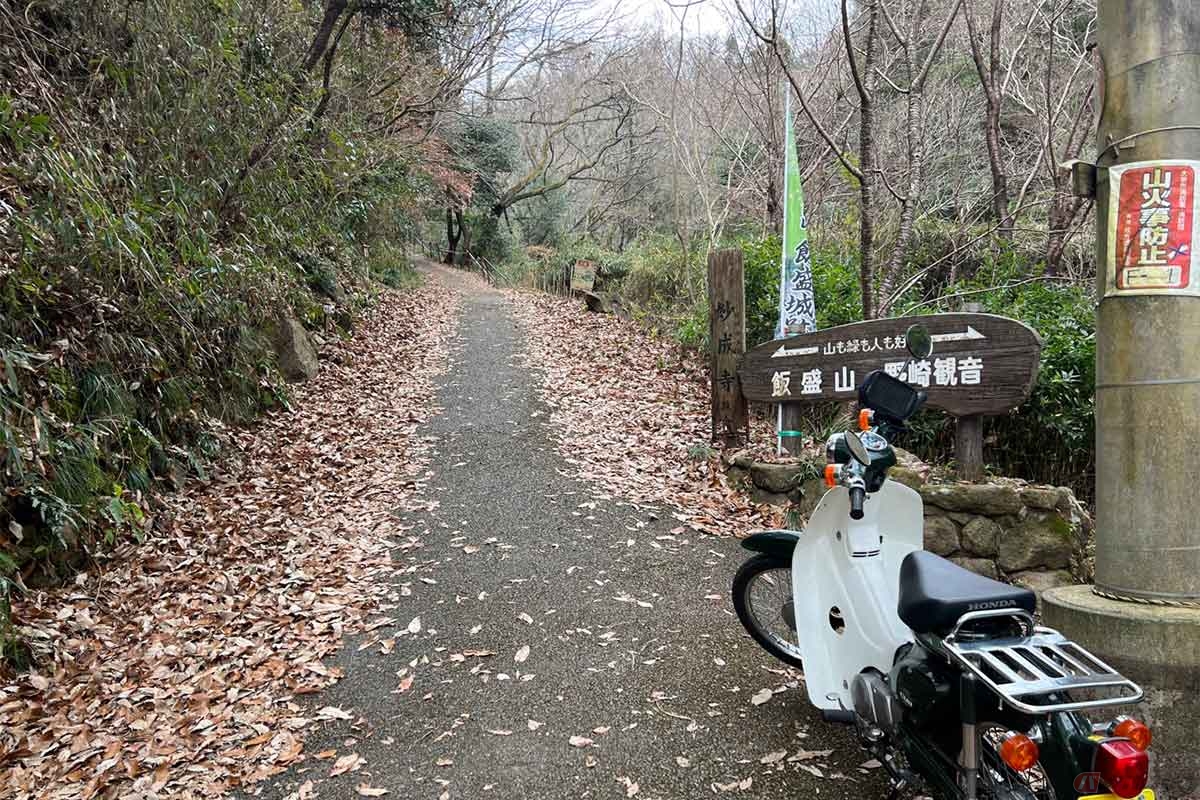 「野崎城址」へのアクセスはいくつかルートがありそうだが、今回は野崎城の北側からハイキング道を歩くことにした