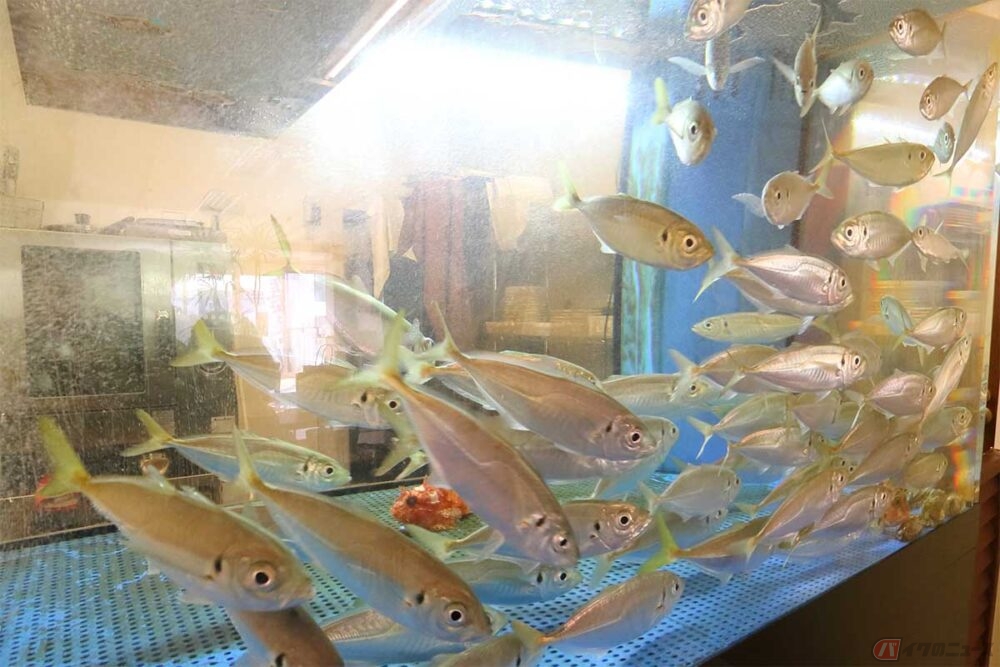 Payvf9yvutxtom Payvf9yvutxtom