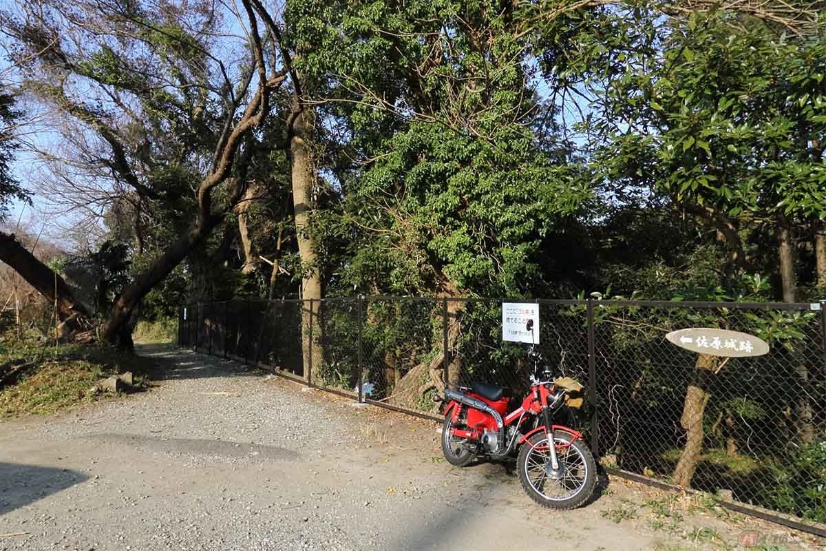 「あじBAR」背後の山の頂には「佐原城址」がある。平安時代に建てられた山城だが現在は石碑を残すのみ