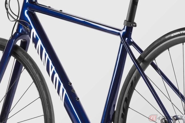 20220315_young_02-650x433.jpg?