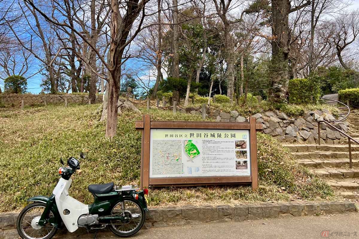 東京都世田谷区の住宅地に残された「世田谷城」は、現在は「世田谷城址公園」として整備されている。階段を登れば、そこは郭(くるわ)だ