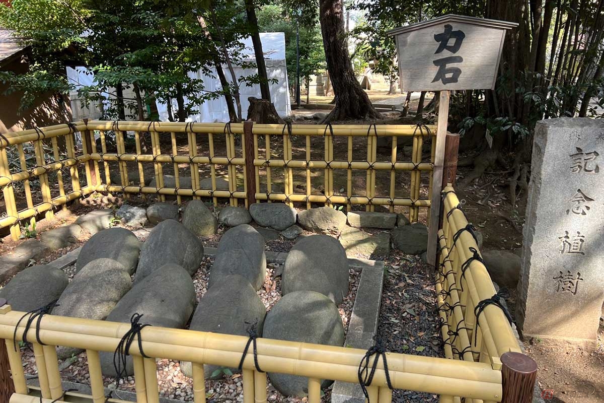 125kgもある力石は、日頃農業で米俵を持つことに慣れていた力自慢の若者が、祭りで石担ぎをして奉納したものだとか。石は全部で16個ある