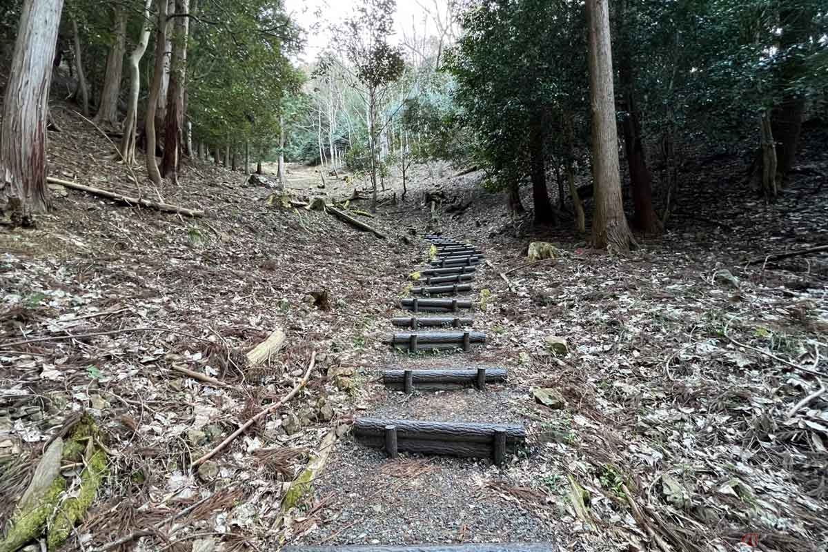 約500mの道のりは過酷な登り急勾配だった。体力に自信がある人向けの山城と言えるだろう