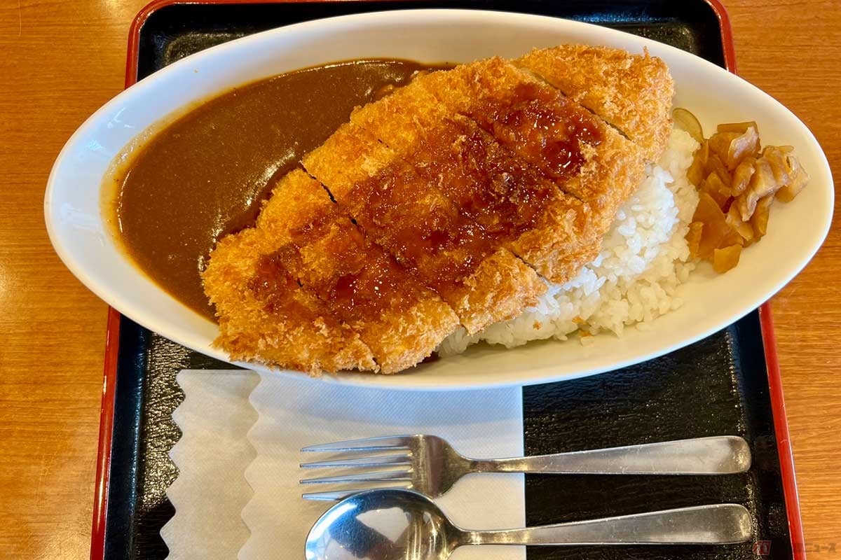 常磐道「友部SA」(上り)の「つくば鶏のビックチキンカツカレー」(970円)は、サラリとしたカレーソースとライスの上に大きなチキンカツが乗っている。カツにはウスターソースをかけ、カレーソースで味変も楽しめる。ボリュームもあってヘルシー、そして美味しいとなれば文句なし