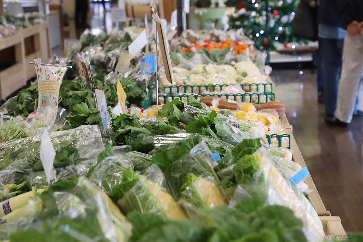 売店エリアには富士山の湧水で育てた地元産の新鮮な野菜や名産品が並ぶ