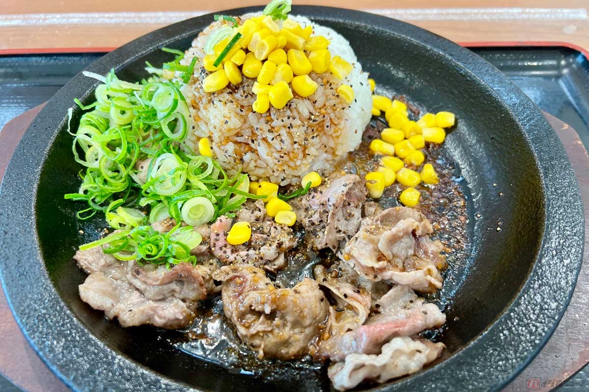 山陽道「淡河PA」（上り）の「淡河特製ビーフライス」（990円）は、券売機のメニュー写真よりもネギがふんだんに盛られて彩りも鮮やか。肉とライスを手早く混ぜていただく