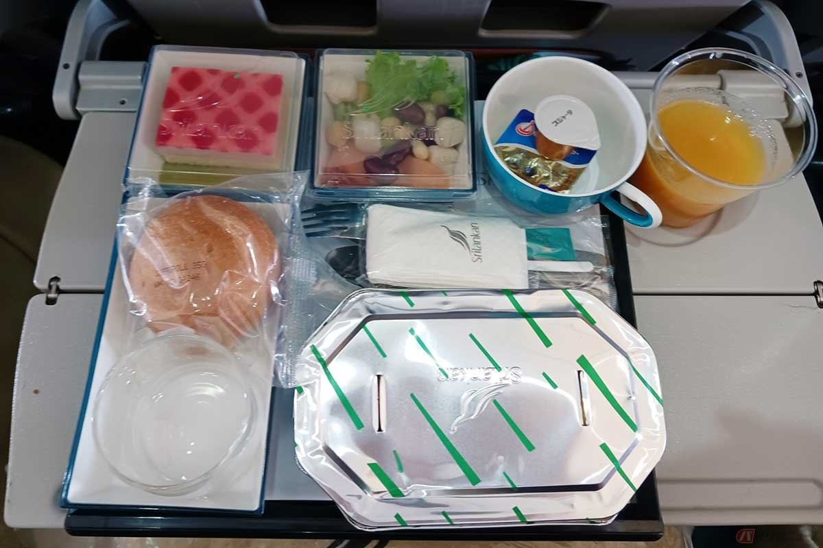 成田→バングラナイケまでのフライトでの1回目の機内食。ベジタリアン向けのメニューもあったようで、隣の席の男性が確認していた