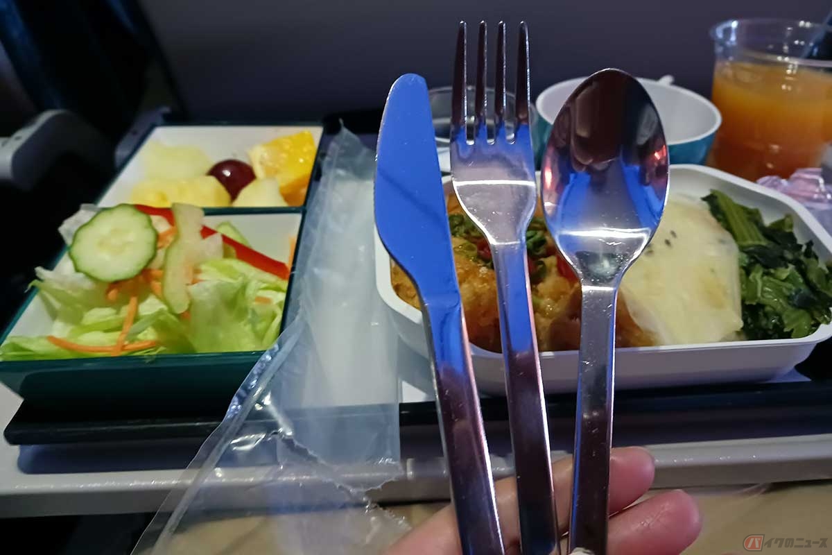 少しコンパクトで軽量なカトラリー。エコノミークラスのシートではとても使いやすくて、カトラリーでも食事が変わるのだなあと感じた次第