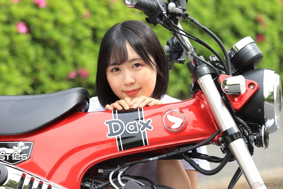 長いボディに短い足、そして首輪、どこから見てもダックスフント!