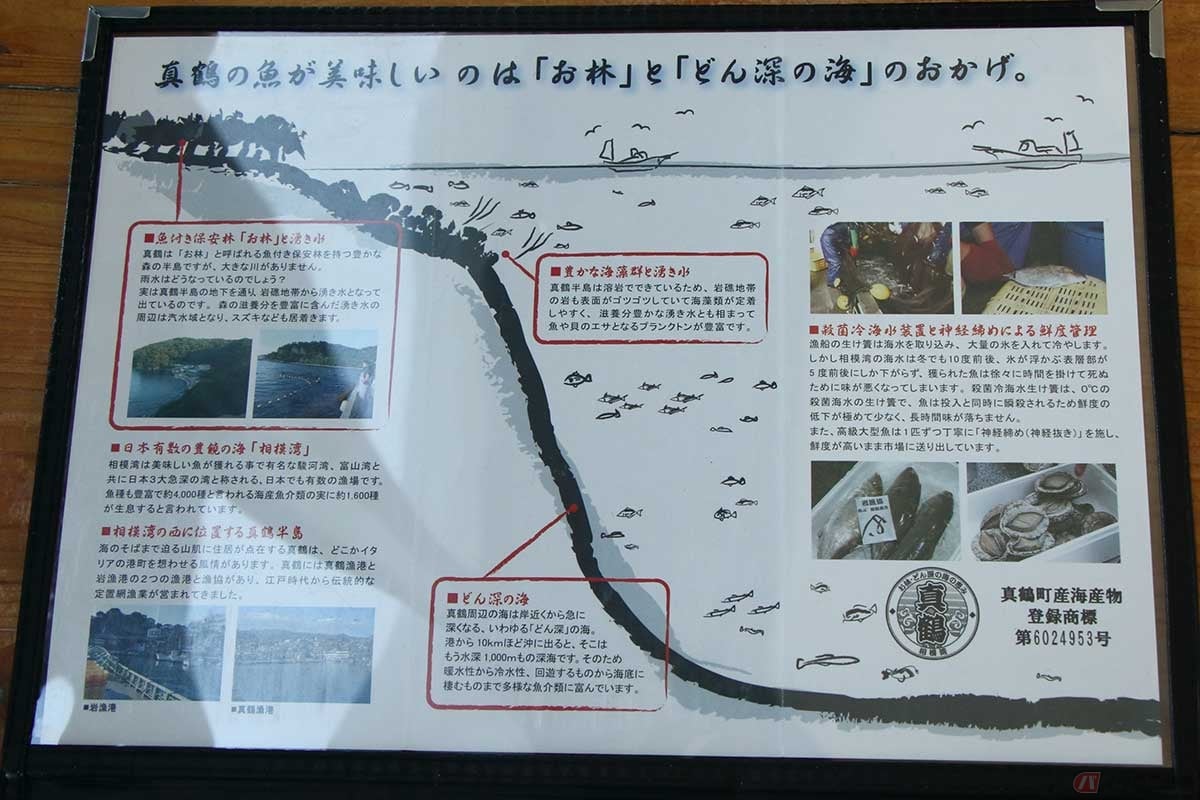 「真鶴 魚座(さかなざ)」のメニューは定食、丼など地物の海産物を使った料理がいろいろ。真鶴の魚が美味しい理由も記されている