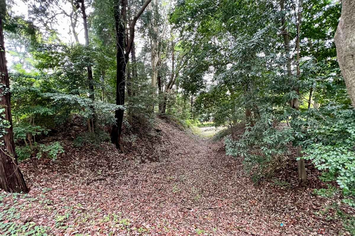 公園内に進み、かつて土橋であっただろう橋を渡ると、両側に堀切の姿が。土塁もしっかり残っているあたりが面白い