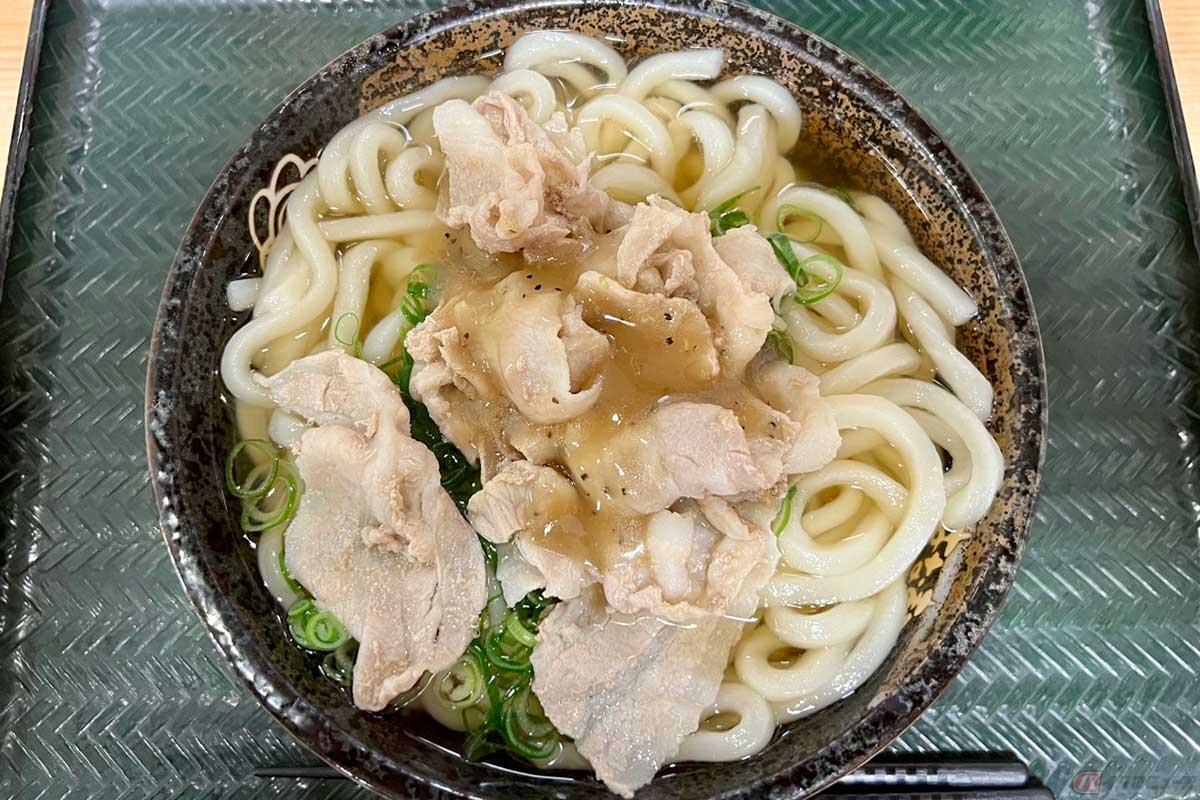 東名高速「美合PA」（下り）の「はなまるうどん」でオーダーした「塩豚ねぎうどん・大」（940円）は、あっさりとした塩麹ダレが美味。「大」は予想以上のボリュームだった