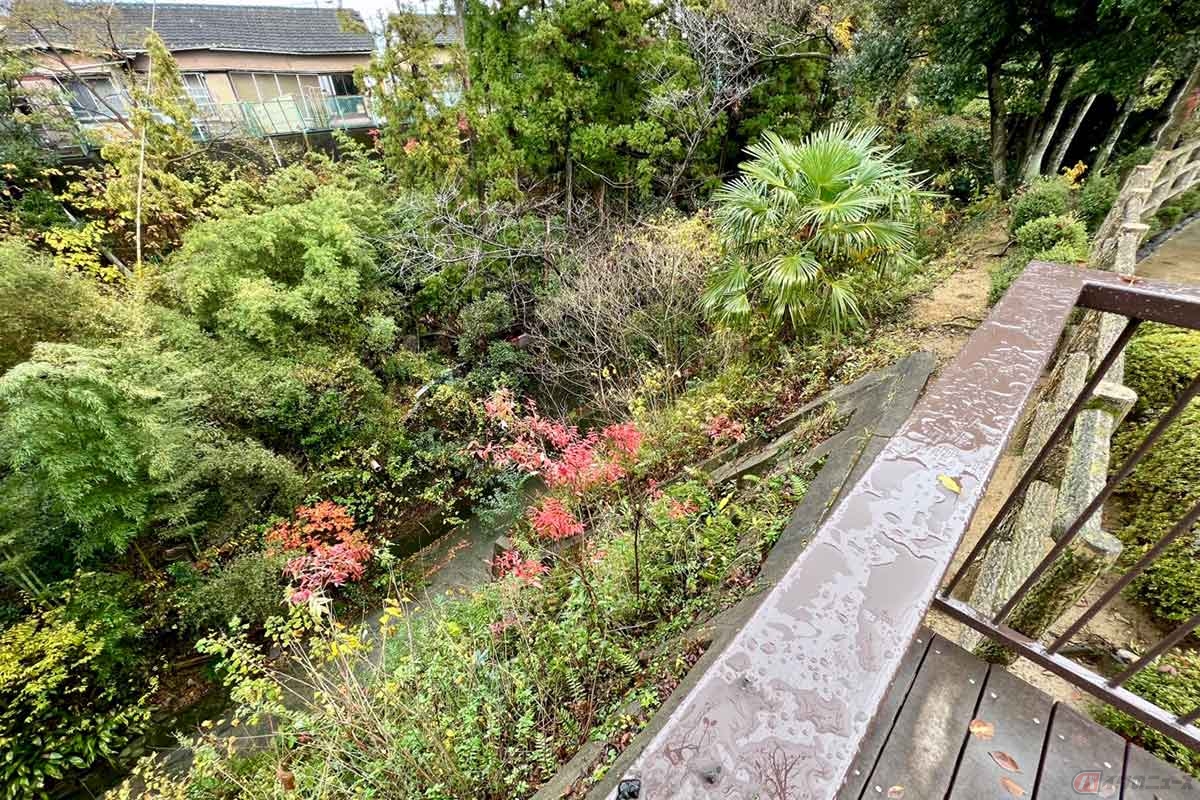 実際に崖の上に立つと、向こう側には民家が建ち、崖の規模は当時に比べてだいぶ縮小されているようだが、それでもかなり深く、木々に覆われていてやや怖い