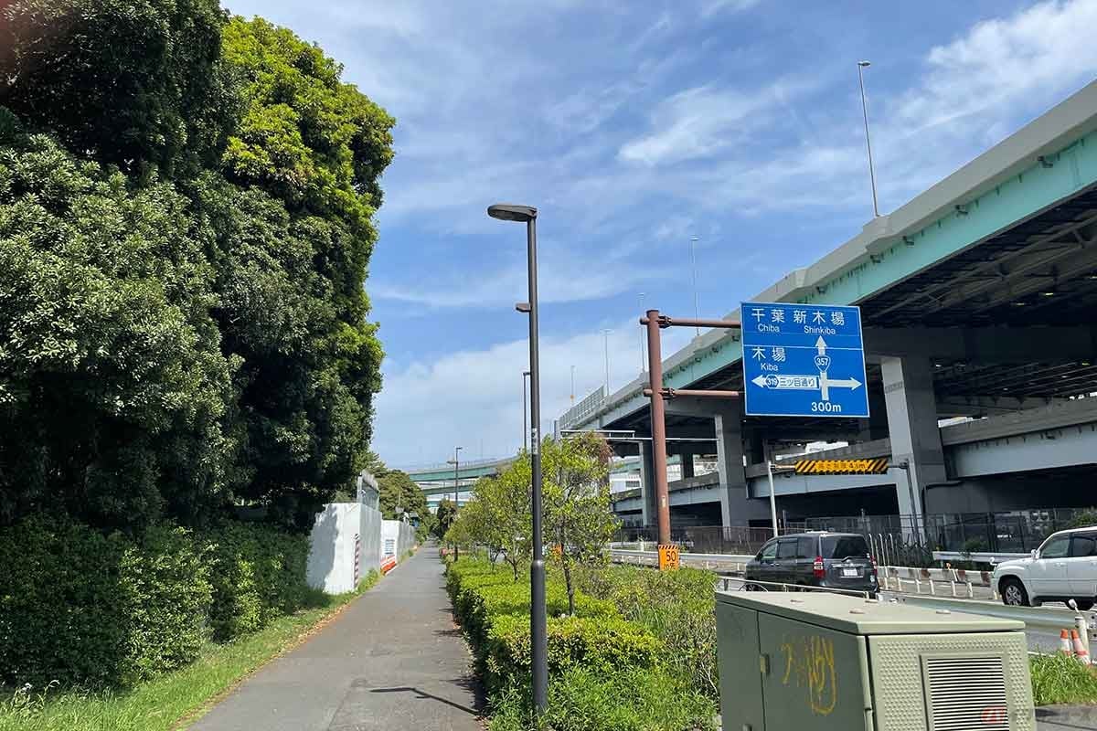 国道357号沿いの人通りの少ない歩道を快適に走る