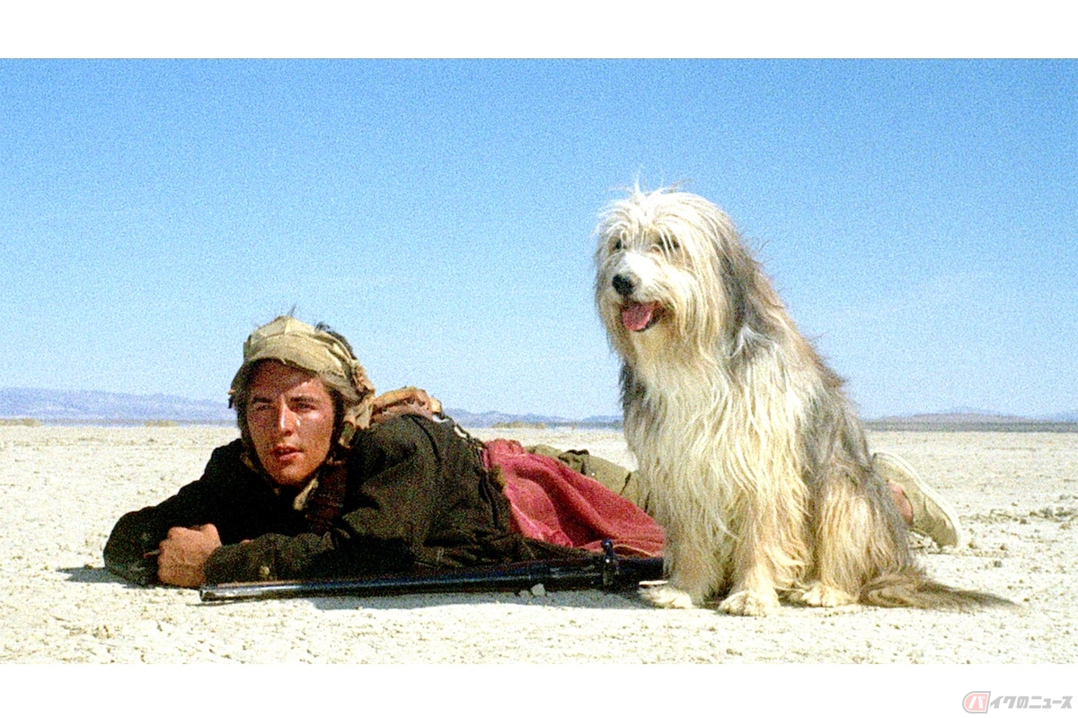 A BOY AND HIS DOG (c) 1975, 1982, 1990 III LQJ, Inc. All Rights Reserved.