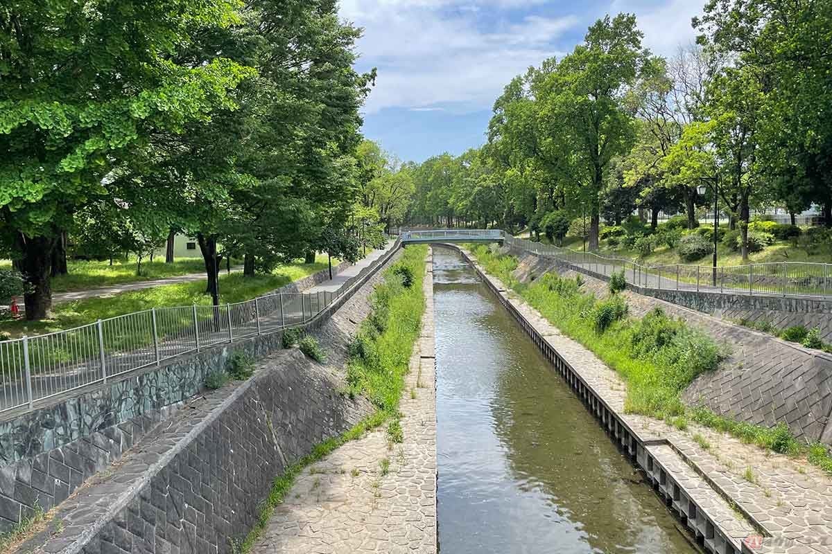 「善福寺川」に掛かる「尾崎橋」を渡り、しばらく走って環状8号線へ