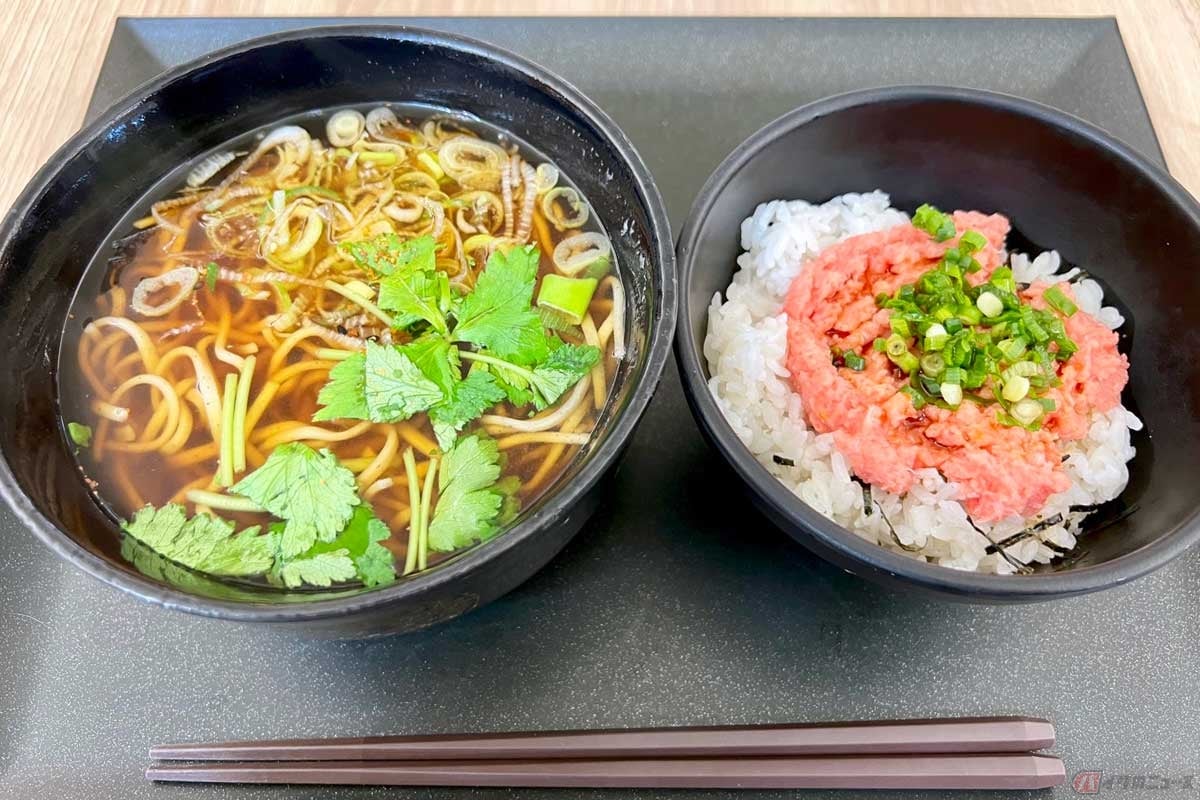 東名「海老名SA」で見つけた「芝大門 更科布屋」の「かけそばとミニねぎとろ丼のセット」(1080円)。美味しい料理は見た目も美しい。短い時間で出来上がるSAのフードコートでも、丁寧に作られているメニューはやはり良いものだと実感