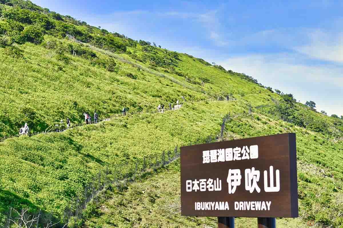 伊吹山ドライブウェイ