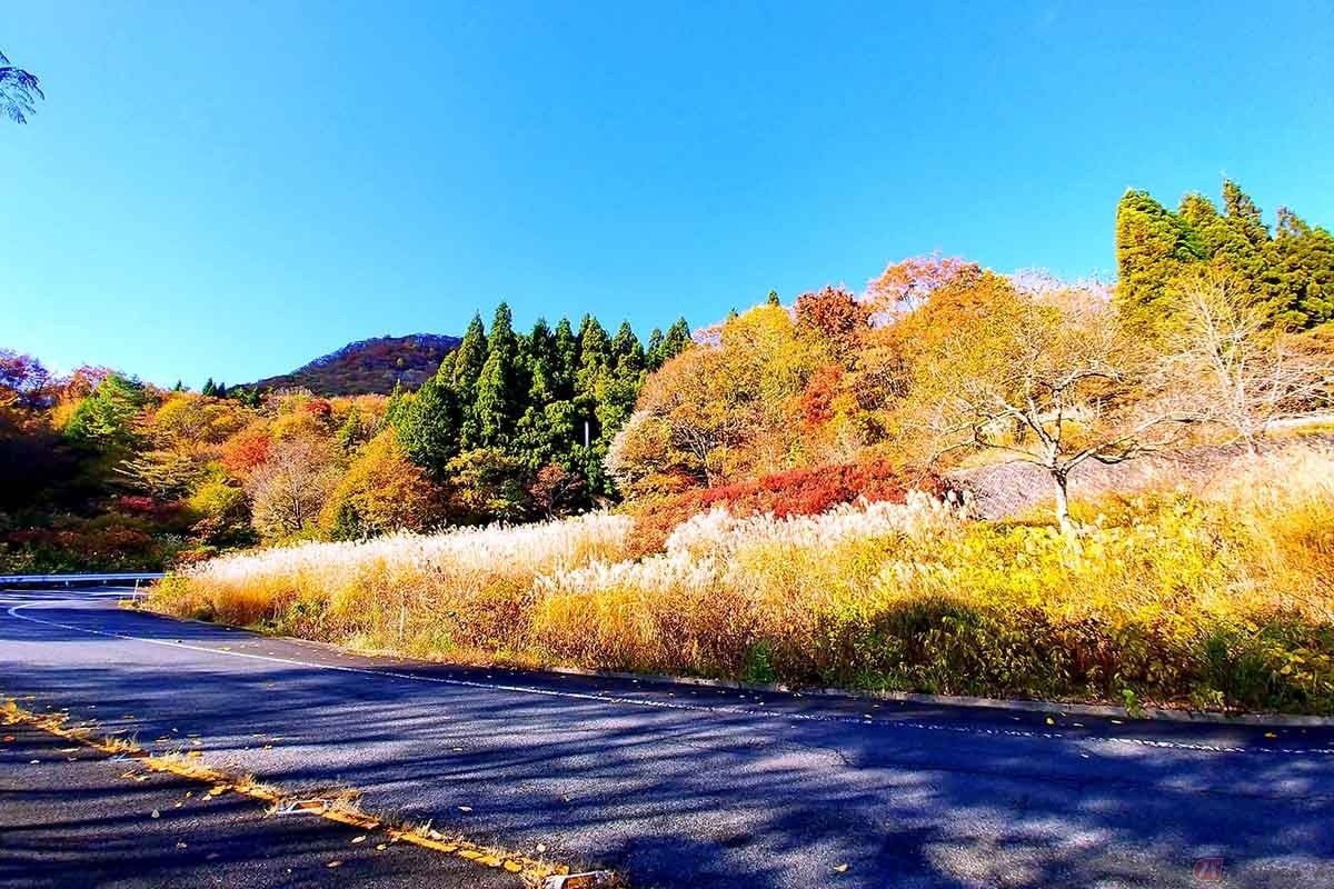 大山環状道路