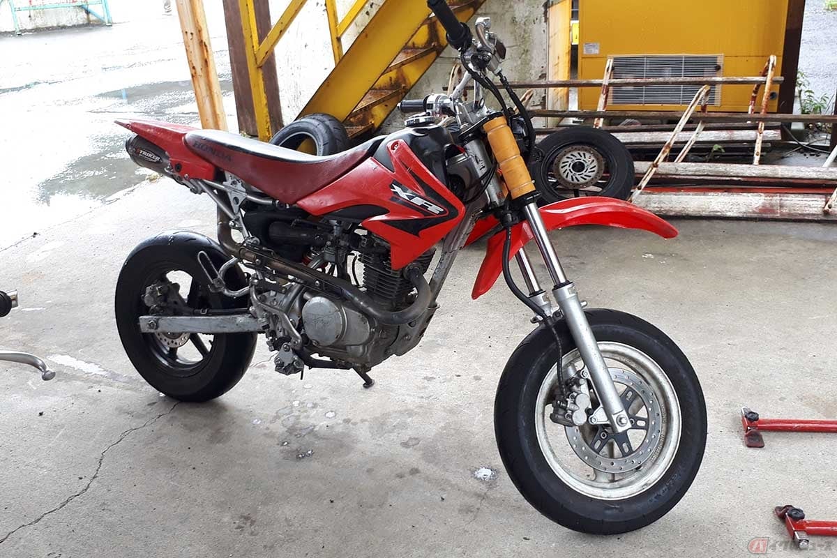 バイクの下にオイル染みが残っていないかチェックする