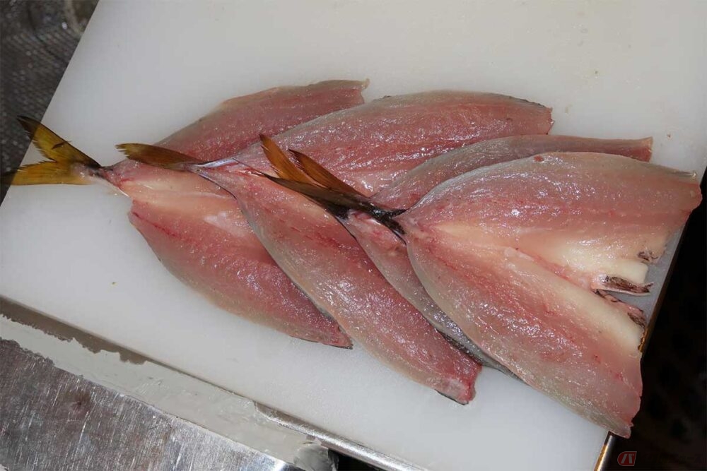 美味しいアジフライを求めて走る旅【番外編】 ついに実現!? 自分で釣っ