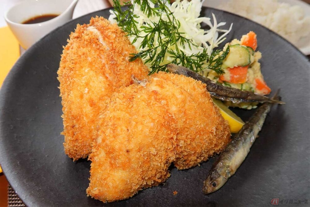 美味しいアジフライを求めて走る旅【番外編】 ついに実現!? 自分で釣っ