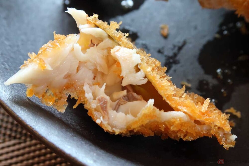 美味しいアジフライを求めて走る旅【番外編】 ついに実現!? 自分で釣っ