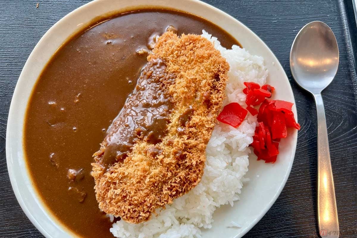 ライスを覆い隠さんばかりの大きなカツが載る「わらじカツカレー」(930円)。「わらじとんかつ」は秩父の名物として知られるが、ここ「狭山PA」(外回り)でも食べられるとはラッキーだった