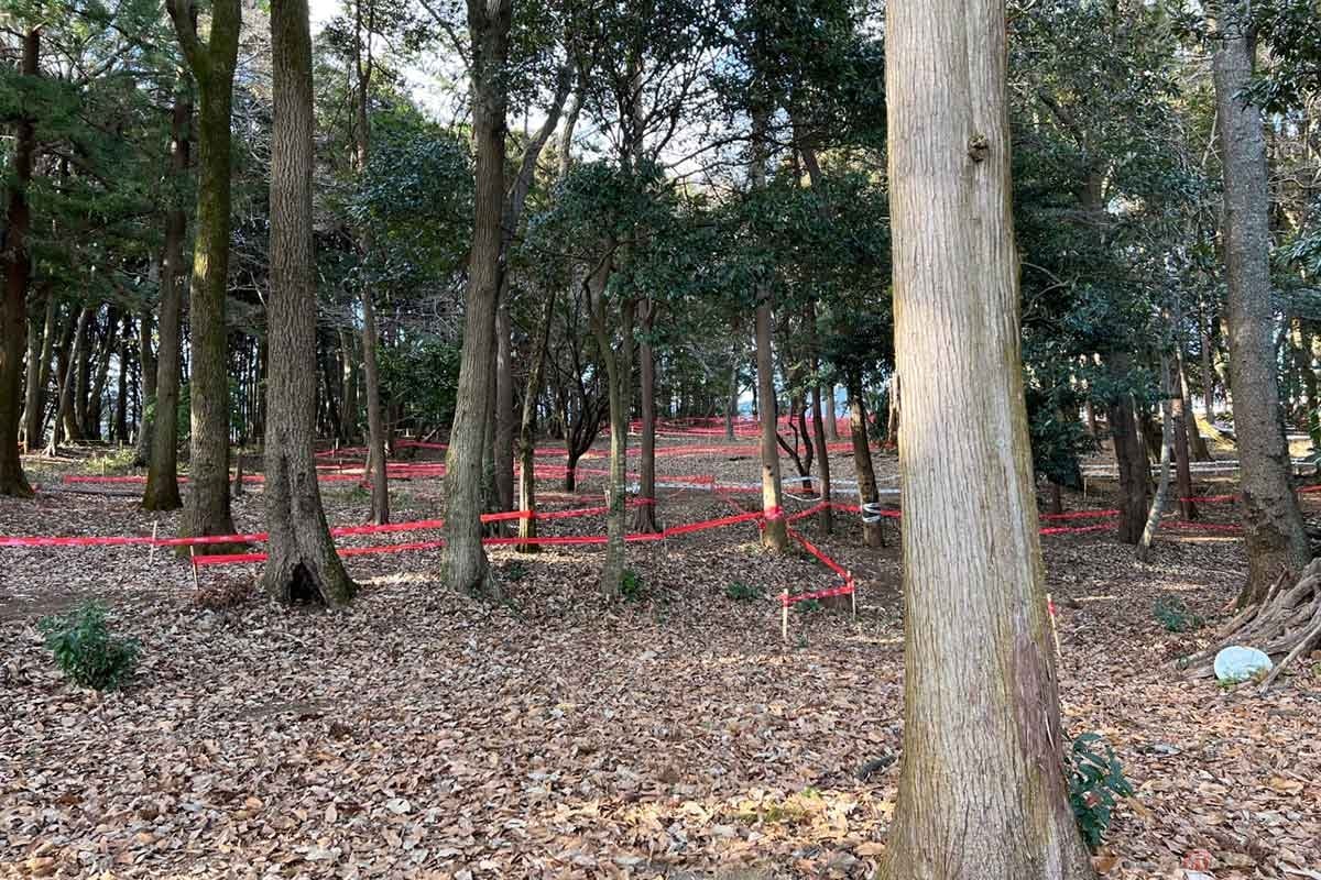 林の中にコーステープが張られているMTBパーク。かつては古墳であり、戦の本陣地だった場所は、現在では子供達が楽しく遊べる場に