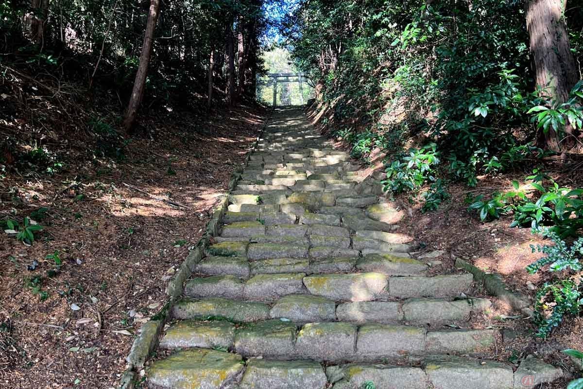 「松尾神社」の鳥居をくぐり、苔むした石段を登って行く。民家が近くにあるが、鳥居をくぐった瞬間から静謐な時間が流れているように感じた