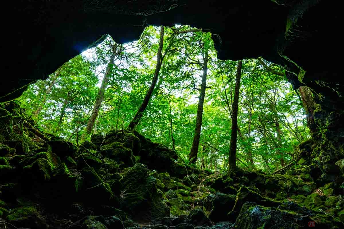 山梨県南都留郡富士河口湖町西湖にある竜宮洞穴