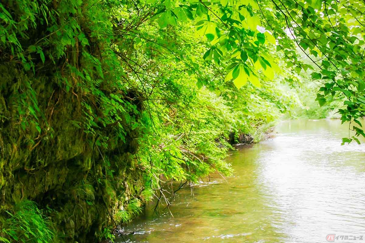 甲府市からおよそ40kmの場所にある吐竜の滝