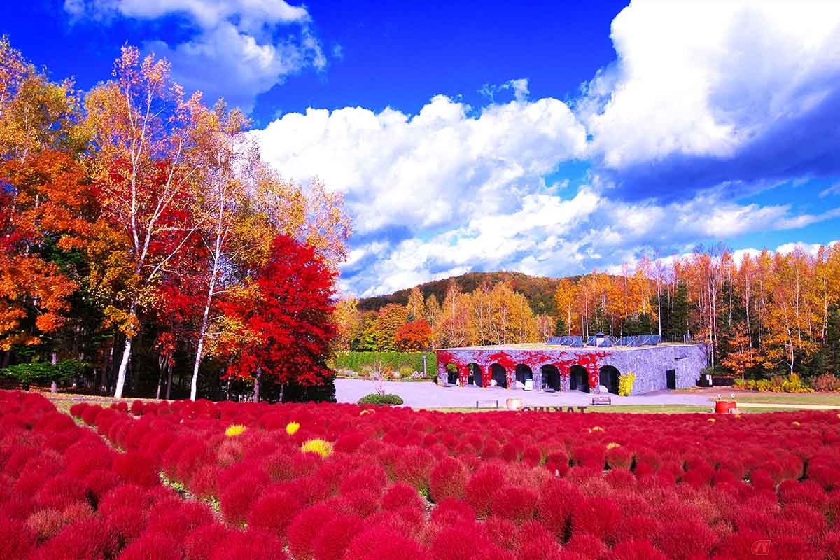 札幌市南区にある「滝野すずらん公園」