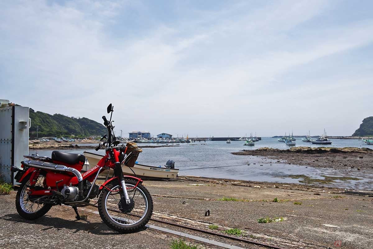 江奈湾の漁港と、対岸に「地魚料理 松輪」を望む